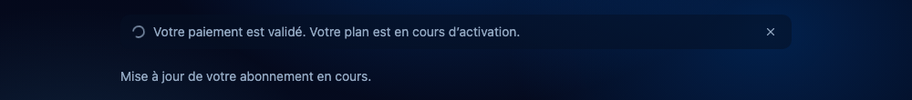 Vérifier le retour du paiement. Interface NeverMiss, données de démonstration.