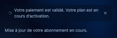 Vérifier le retour du paiement. Interface NeverMiss, données de démonstration.