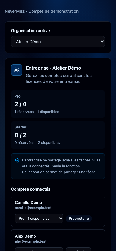 Gérer les licences de l’entreprise. Interface NeverMiss, données de démonstration.